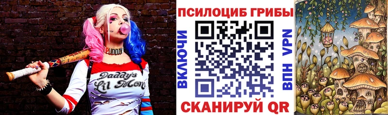 Купить  Алатырь  Галлюциногенные грибы Magic Shrooms