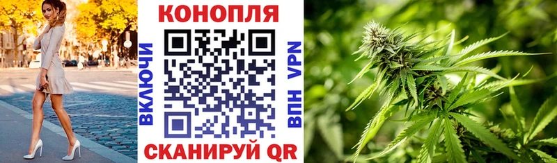 Купить закладки  Алатырь  Конопля гибрид 